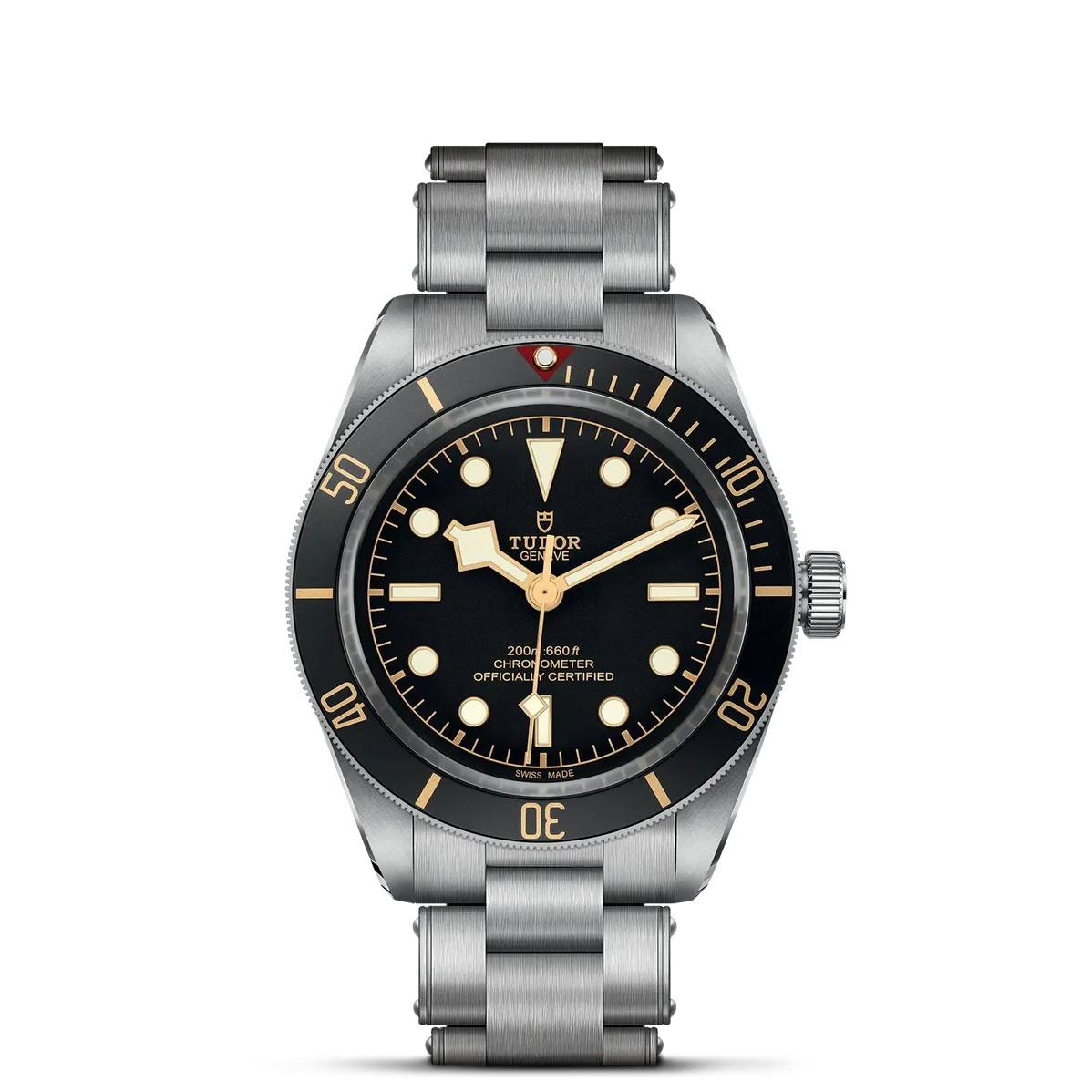 Tudor Black Bay 58 79030N