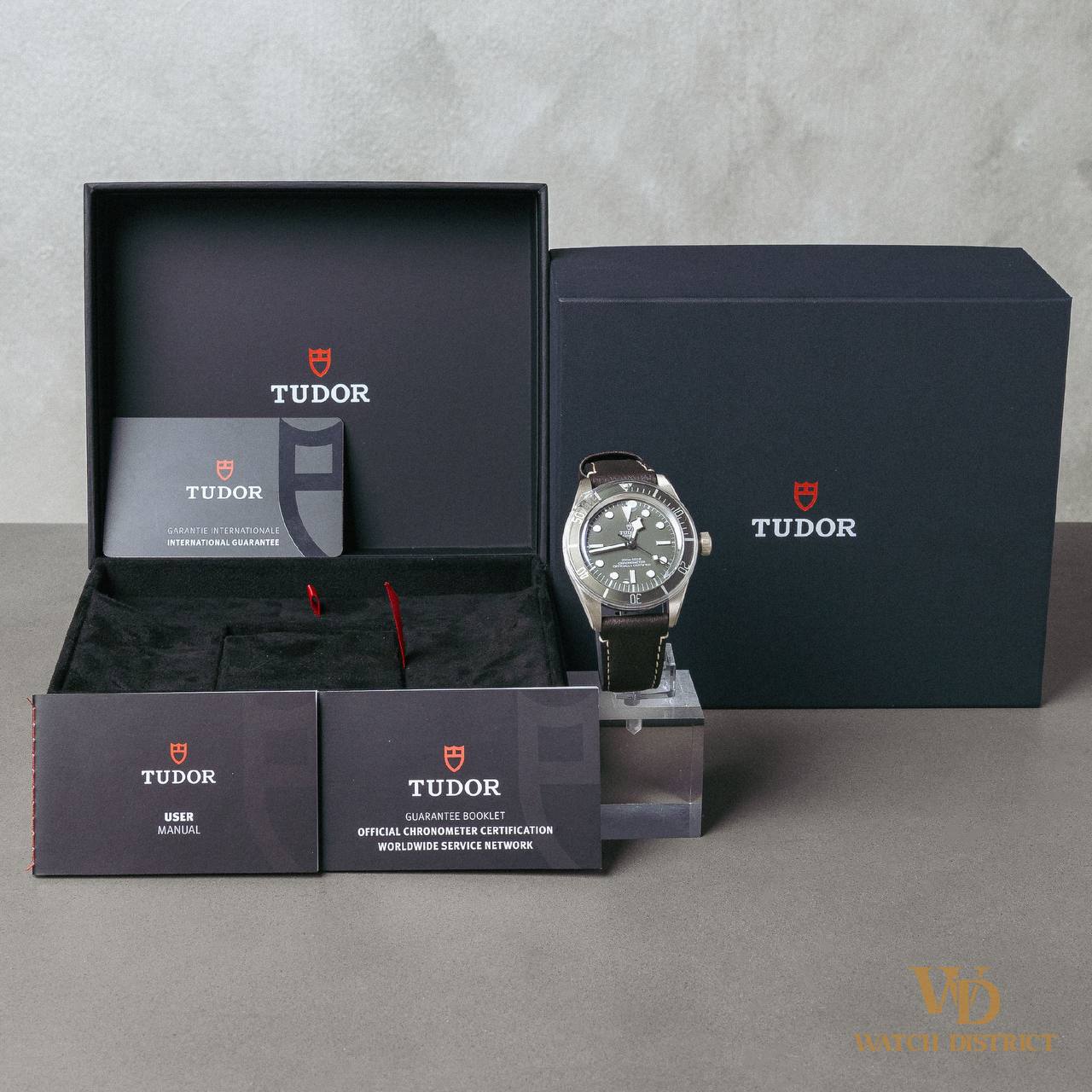 Tudor Black Bay 79010SG