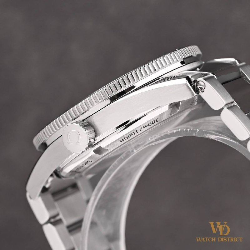 Omega Seamaster 300 233.30.41.21.01.001