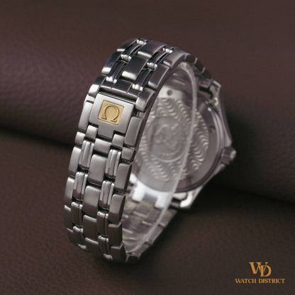 Omega Seamaster 120M 2501.20