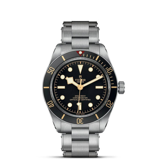 Tudor Black Bay 58 79030N