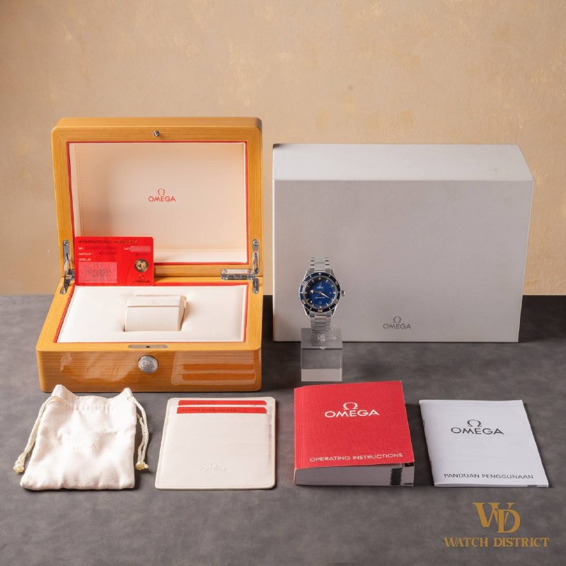 Omega Seamaster 300 234.30.41.21.03.001