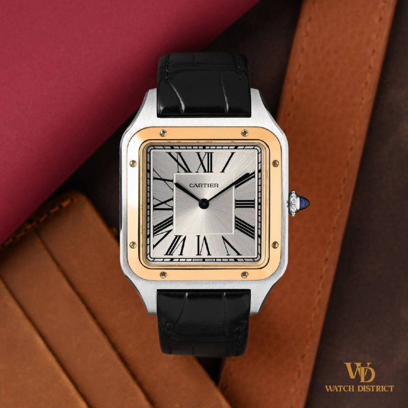 Cartier 33x46mm Santos-Dumont W2SA0017
