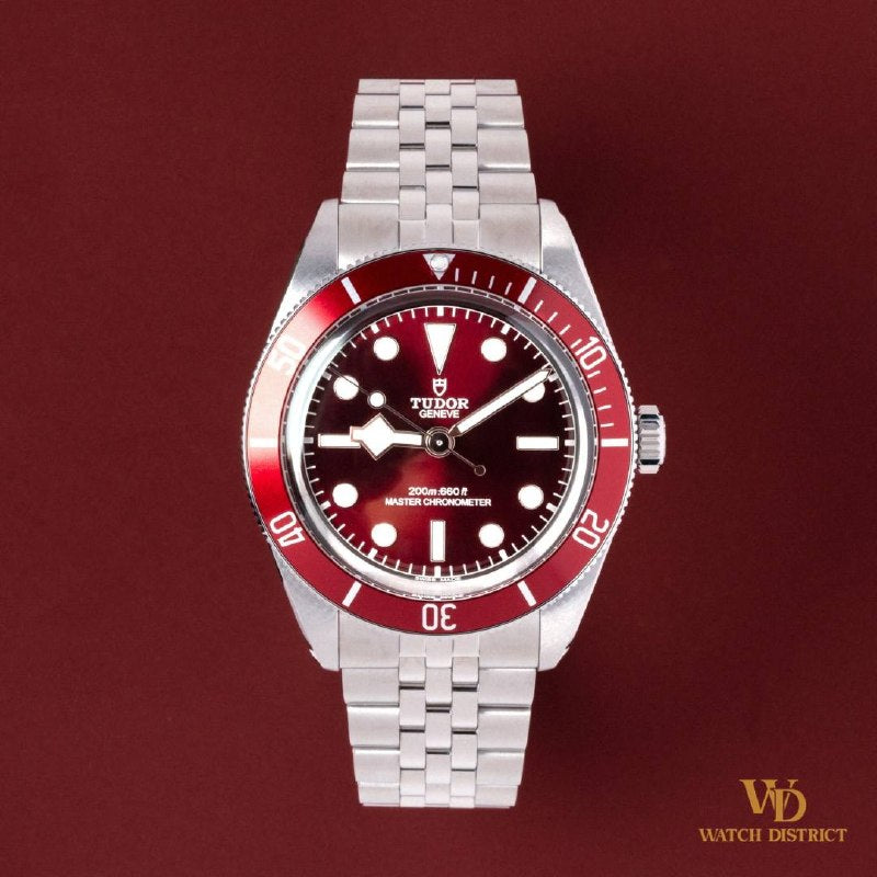 Tudor Black Bay 58 M7939A1A0RU-0001