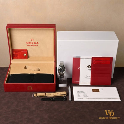 Omega Seamaster Railmaster 220.10.38.20.01.002