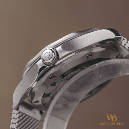Omega Seamaster Diver 300M 210.30.42.20.03.002
