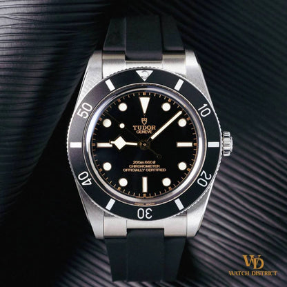 Tudor Black Bay 54 M79000N-0002