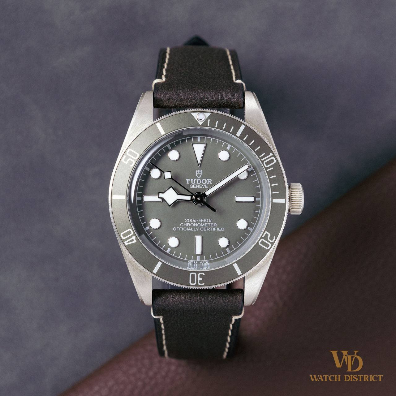 Tudor Black Bay 79010SG