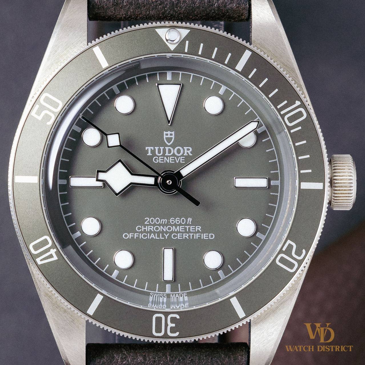 Tudor Black Bay 79010SG