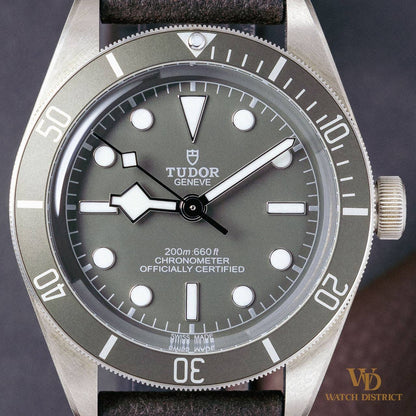 Tudor Black Bay 79010SG