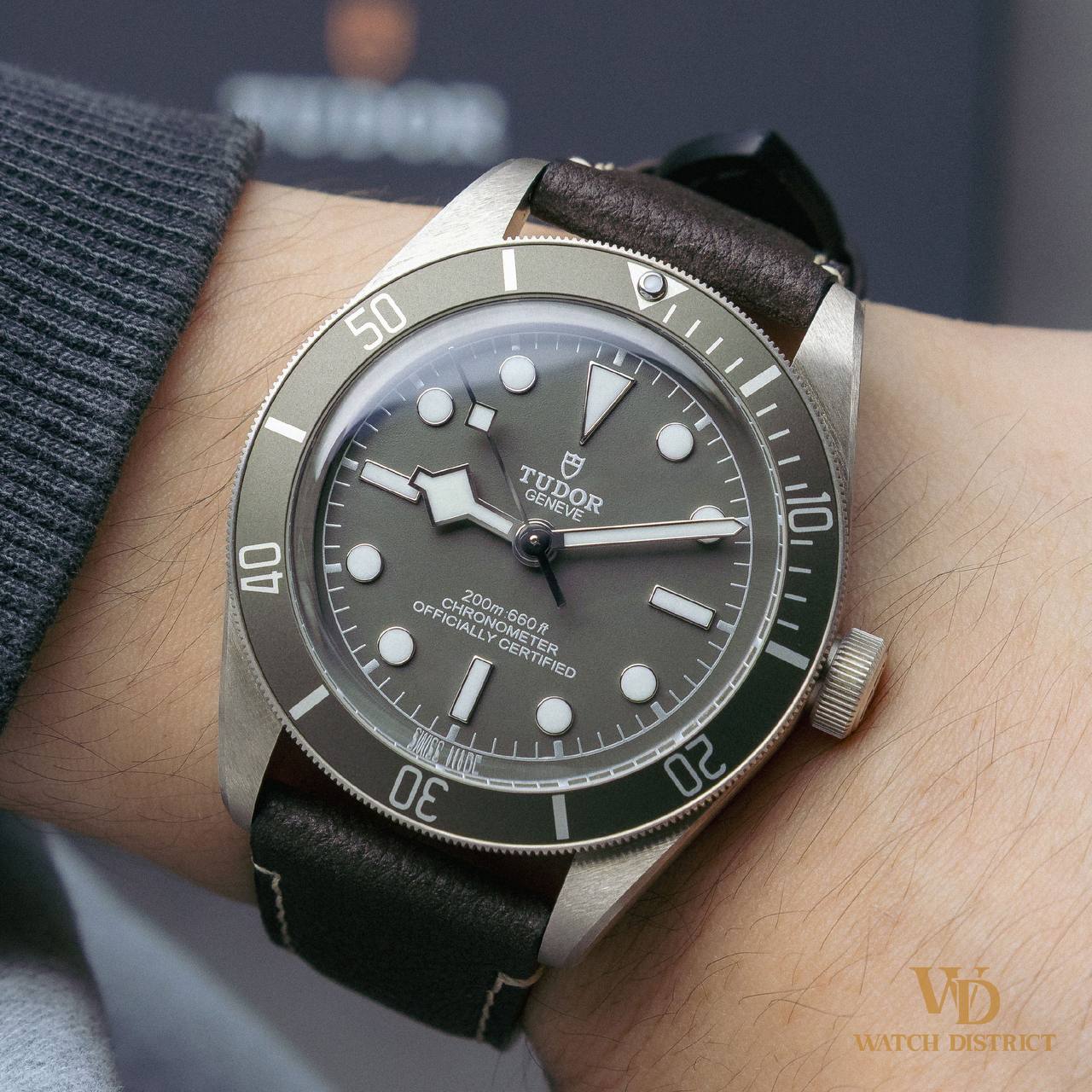 Tudor Black Bay 79010SG