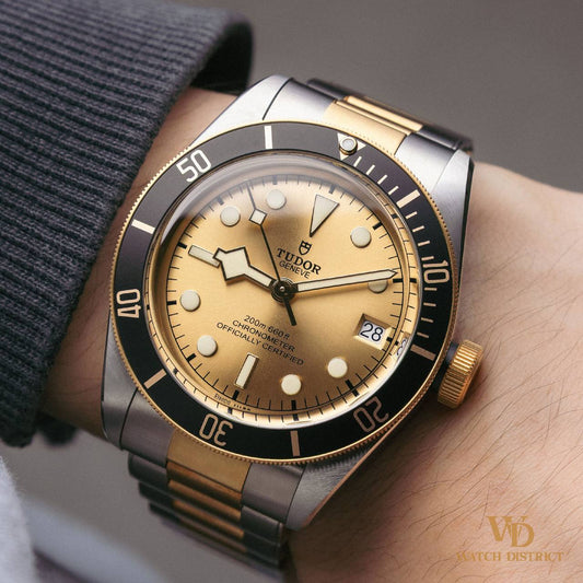 Tudor Black Bay 79733N