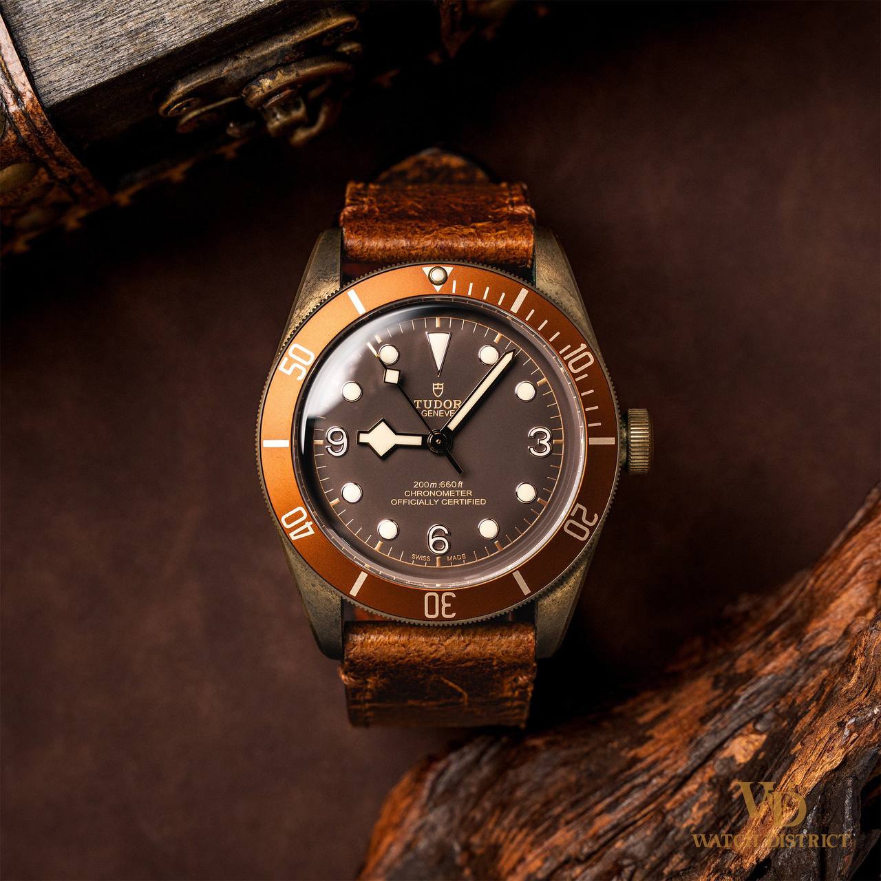 Tudor Black Bay 79250BM