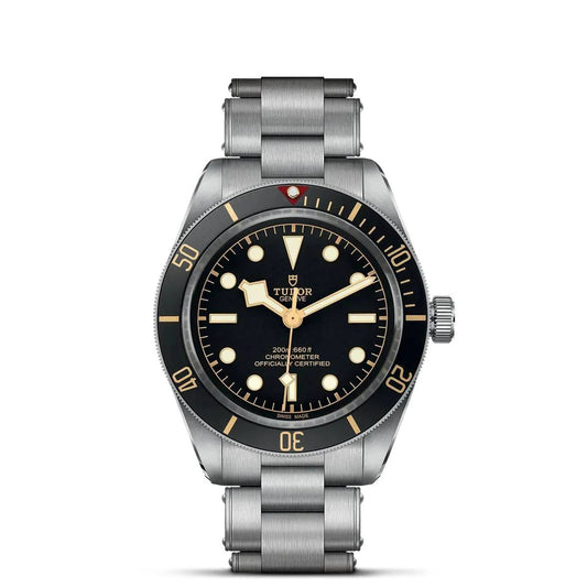 Tudor Black Bay 58 M79030N-0001