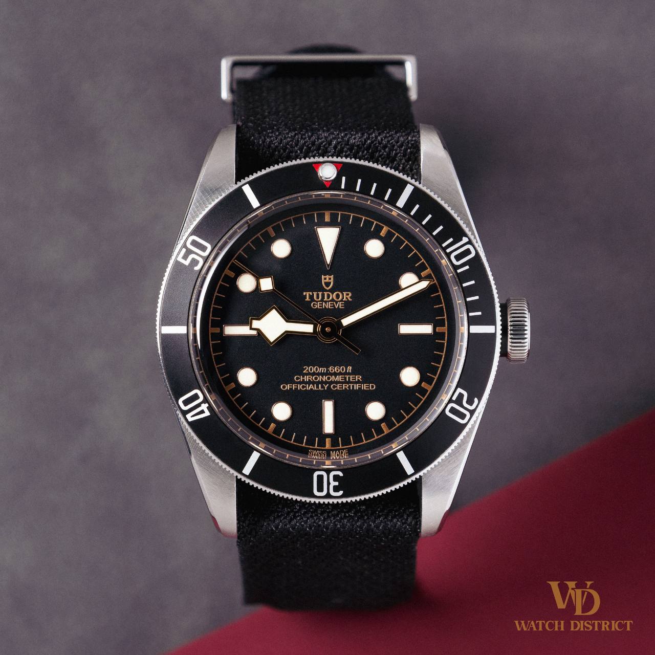 Tudor Black Bay 79230N