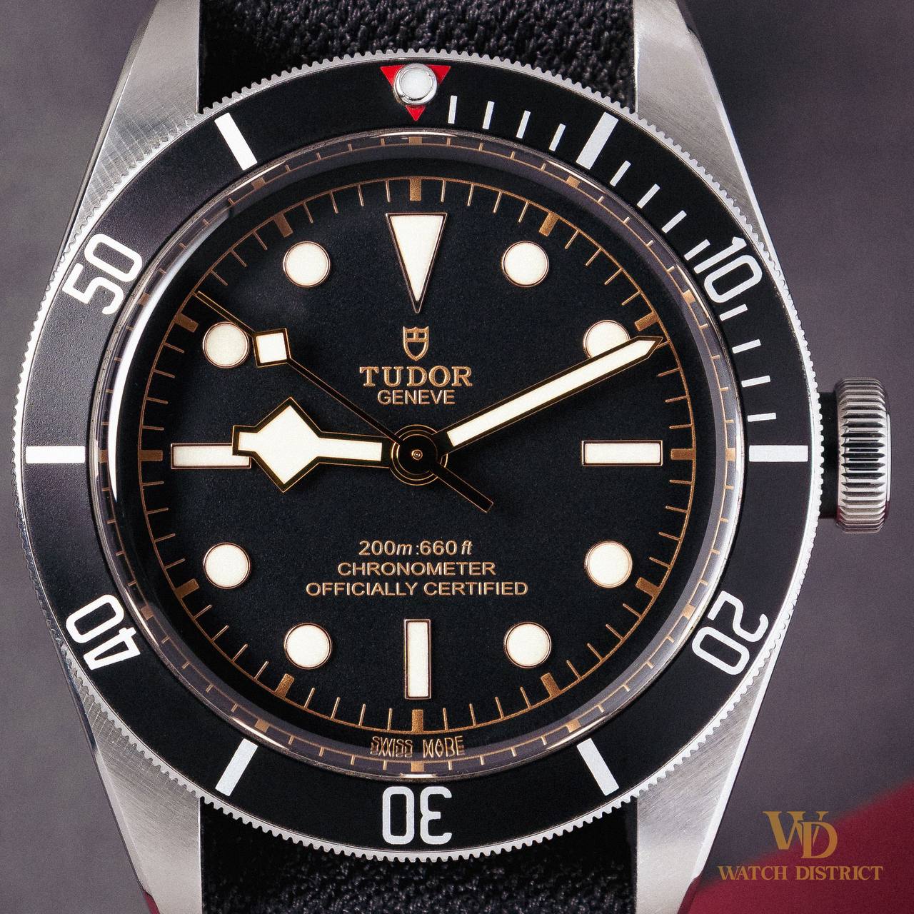 Tudor Black Bay 79230N