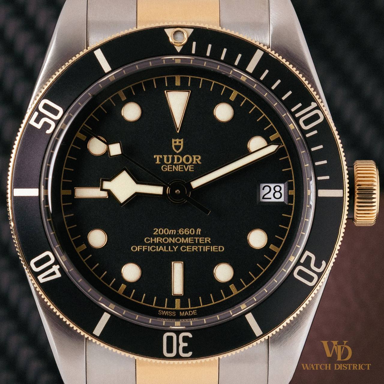 Tudor Black Bay M79733N-0008