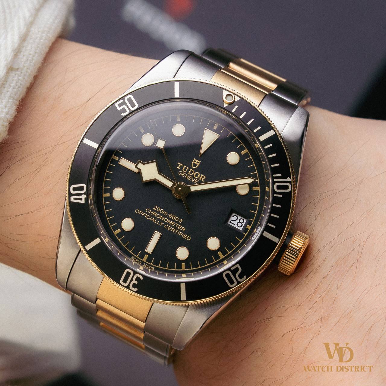 Tudor Black Bay M79733N-0008