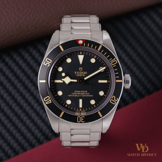Tudor Black Bay 58 M79030N-0001