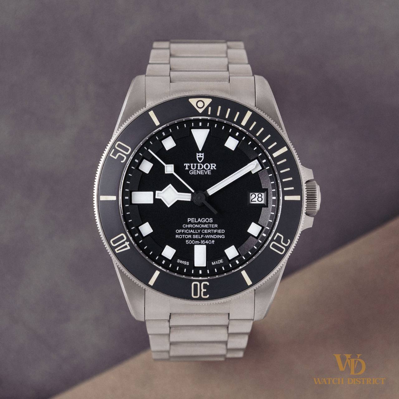 Tudor Pelagos 25600TN