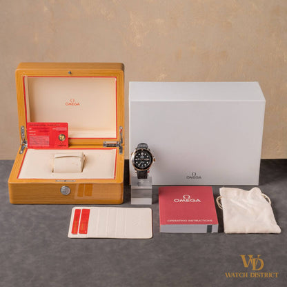 Omega Seamaster Diver 210.22.42.20.01.002