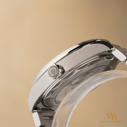 Omega Seamaster Aqua Terra 220.10.43.22.03.001