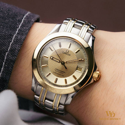 Omega Seamaster 120M 2301.11.00