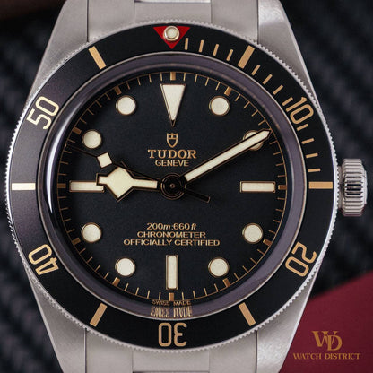 Tudor Black Bay 58 79030N