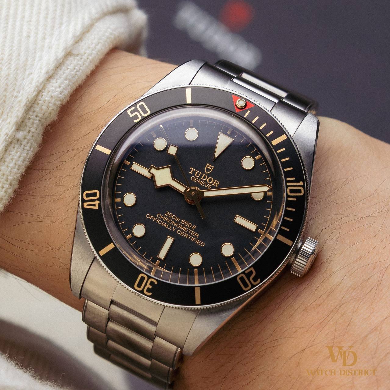 Tudor Black Bay 58 79030N