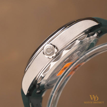 Omega Seamaster Aqua Terra 220.13.41.21.10.001