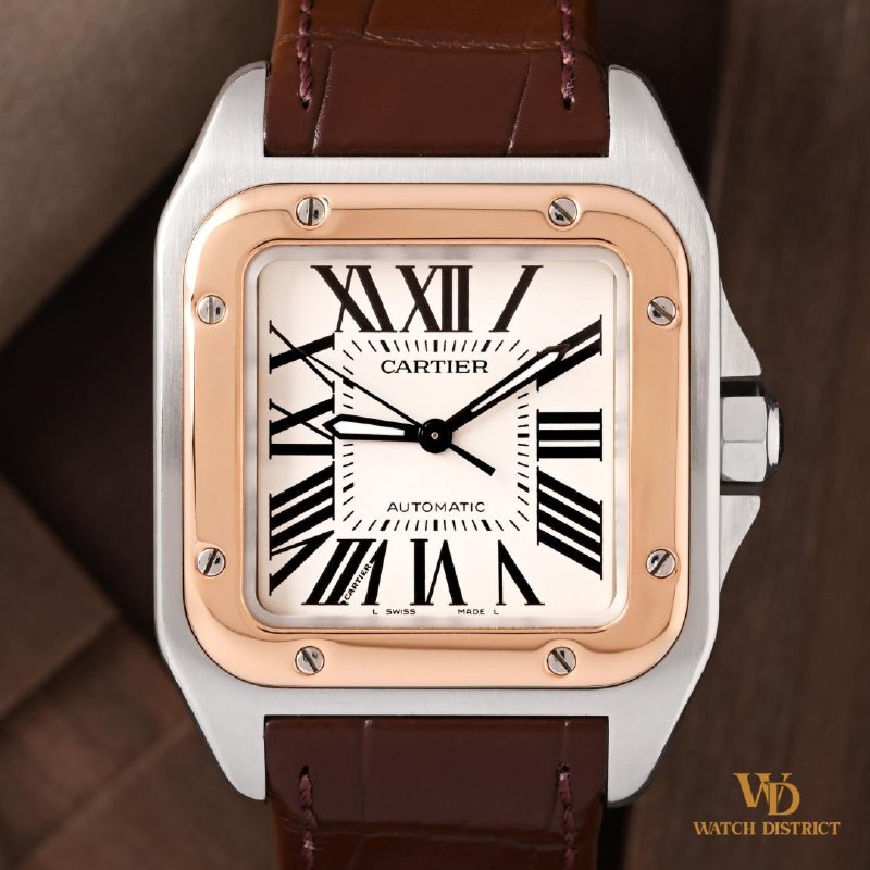 Cartier 33x Santos 100 W20106X8